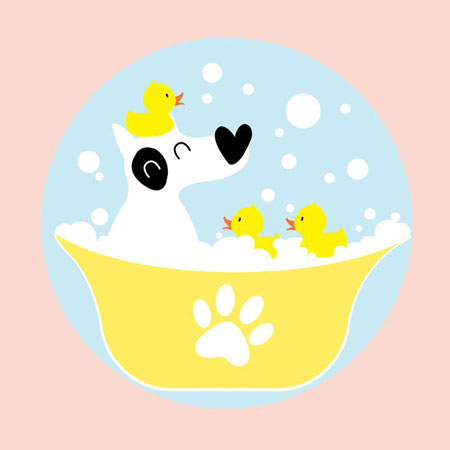 Immagine Toelettatura